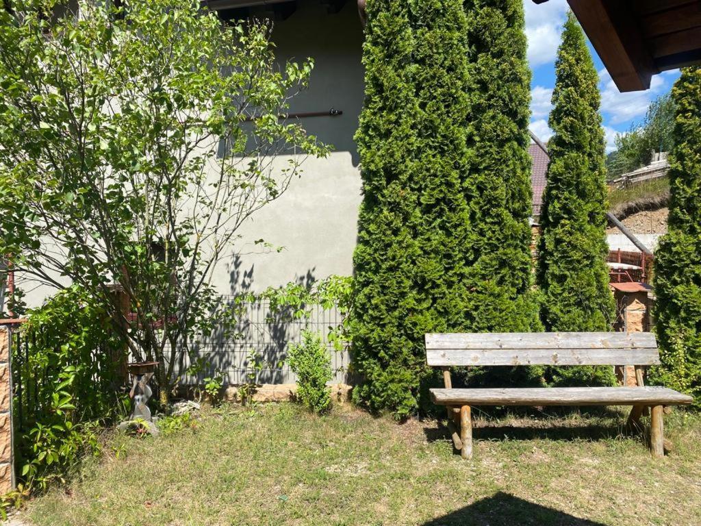 Casa De Vacanta Elena Sinaia Buitenkant foto