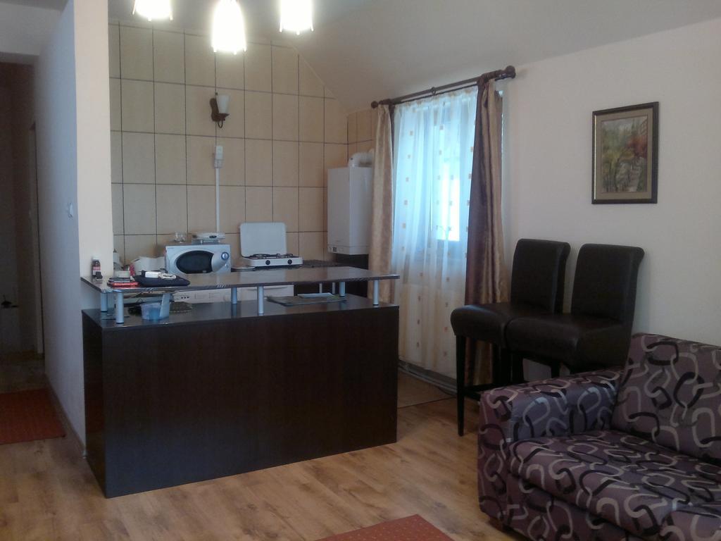 Casa De Vacanta Elena Sinaia Buitenkant foto