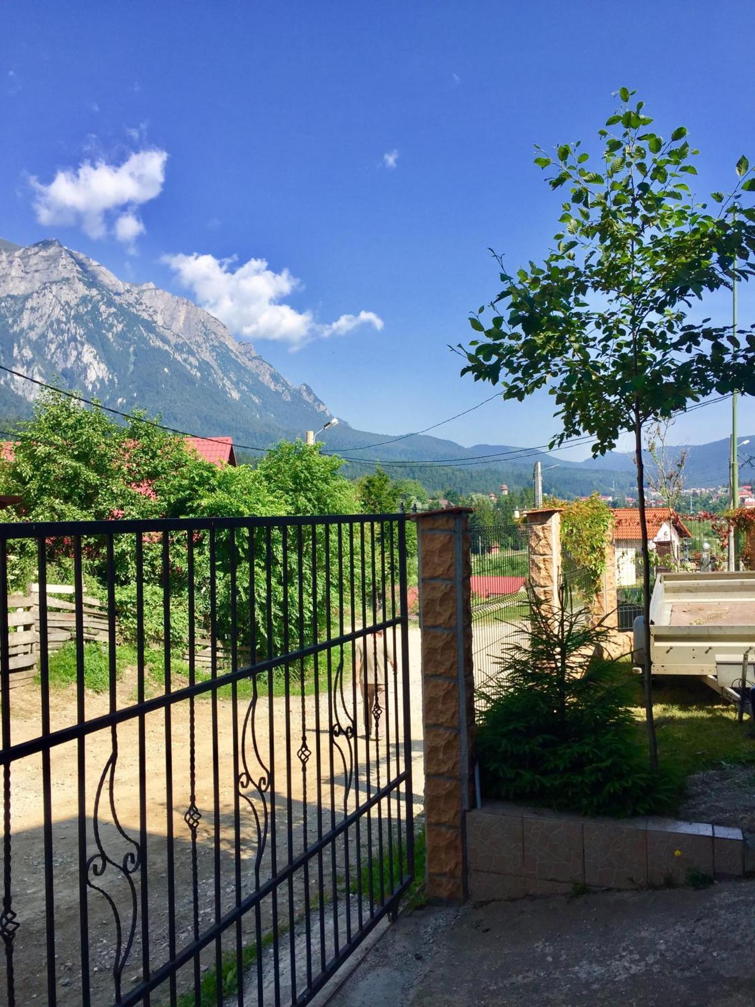 Casa De Vacanta Elena Sinaia Buitenkant foto